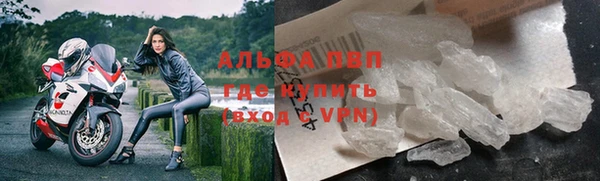 шишки Армянск