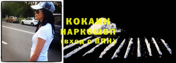 шишки Армянск