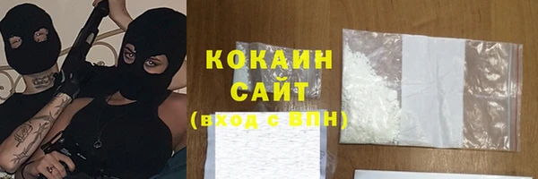 шишки Армянск