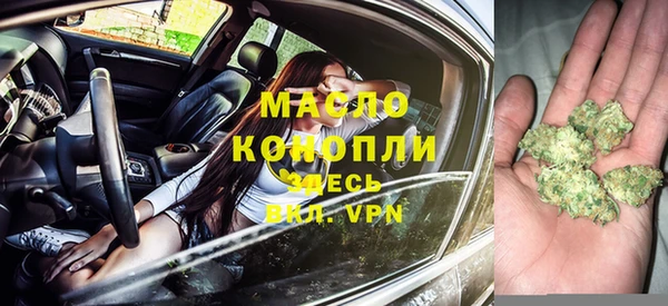 стаф Арсеньев
