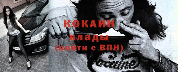 шишки Балахна