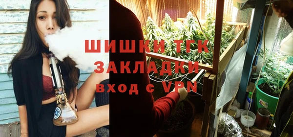 шишки Армянск