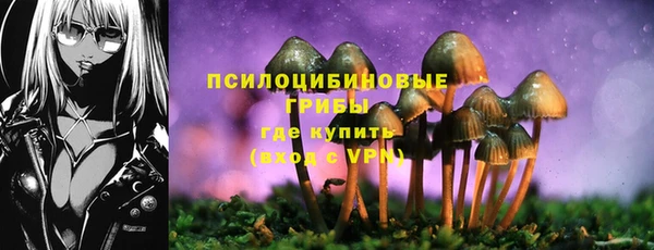 дживик Баксан