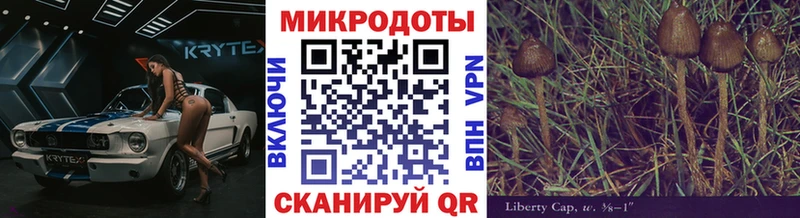 где продают наркотики  Белинский  Псилоцибиновые грибы прущие грибы 